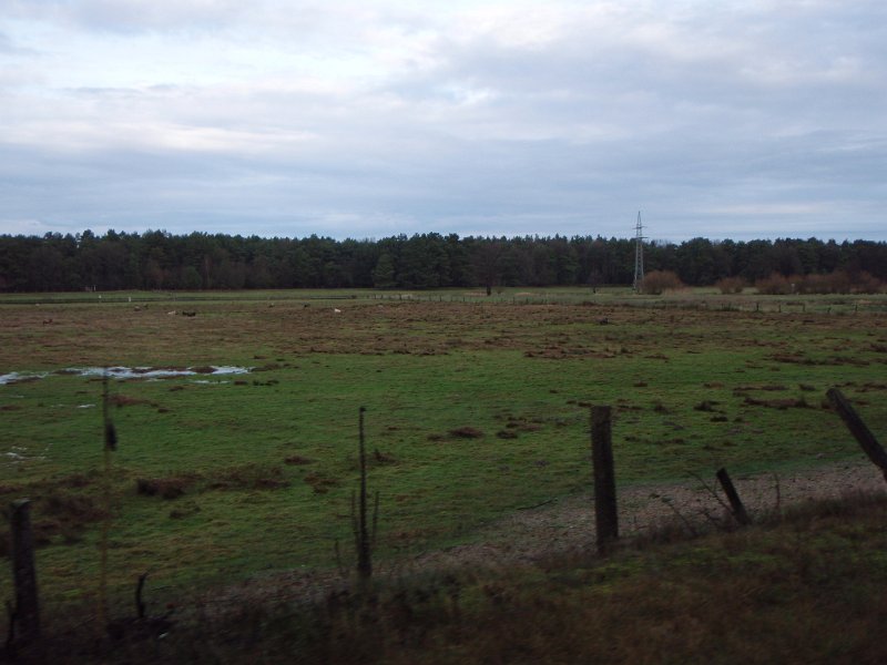 CTF Celle 041